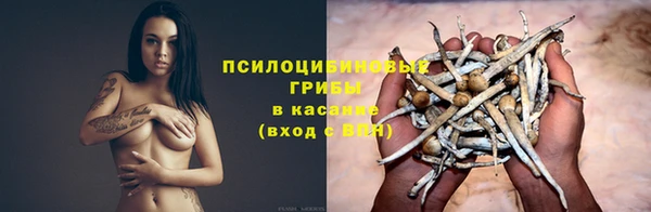 spice Покров