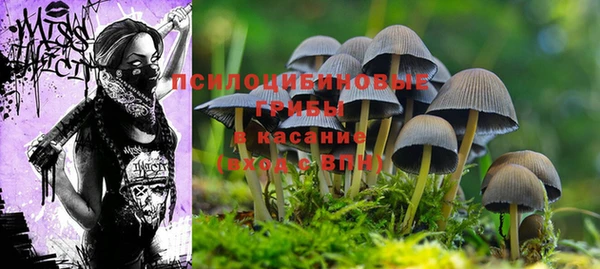 марки lsd Аркадак